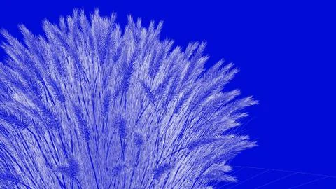 3d rendering of a white outlined tree on a blue background イラスト素材