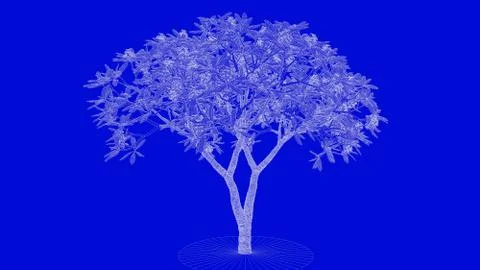 3d rendering of a white outlined tree on a blue background イラスト素材