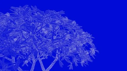 3d rendering of a white outlined tree on a blue background Illustrazione stock