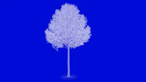 3d rendering of a white outlined tree on a blue background イラスト素材