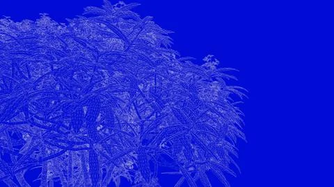 3d rendering of a white outlined tree on a blue background Stock Illustration