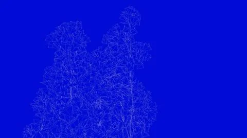 3d rendering of a white outlined tree on a blue background Stock Illustration