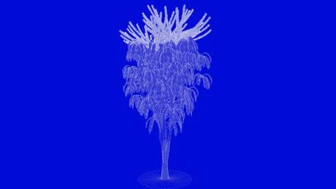 3d rendering of a white outlined tree on a blue background イラスト素材
