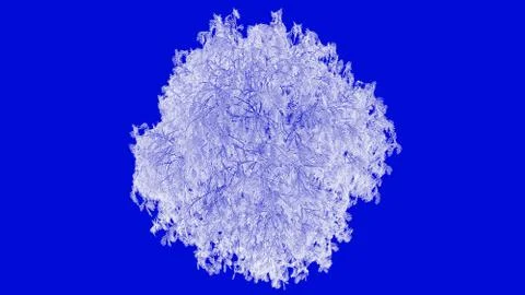 3d rendering of a white outlined tree on a blue background イラスト素材