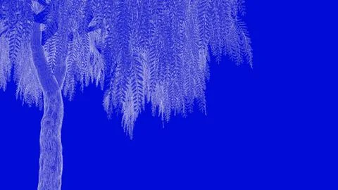3d rendering of a white outlined tree on a blue background Stock Illustration