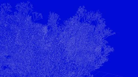 3d rendering of a white outlined tree on a blue background Stock Illustration