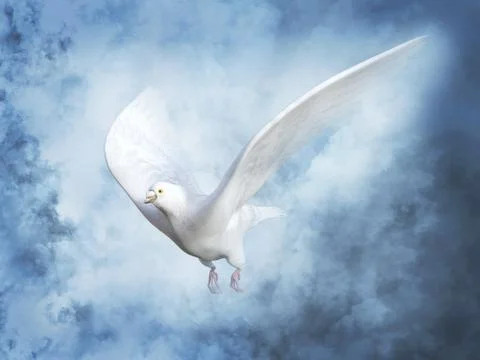 3D rendering of a white peace dove in heaven. Stock Illustration