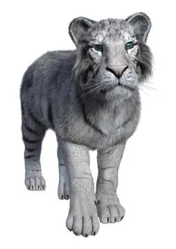 3D Rendering White Tiger on White Stock Illustration