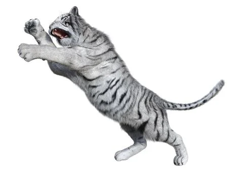3D Rendering White Tiger on White Stock Illustration