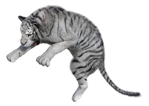 3D Rendering White Tiger on White Stock Illustration