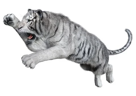 3D Rendering White Tiger on White Stock Illustration