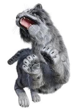 3D Rendering White Tiger on White Stock Illustration