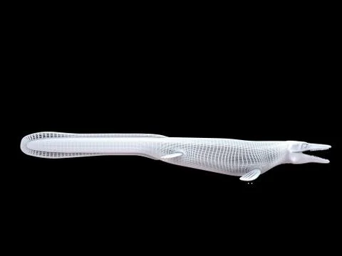 3d rendering of a white wired dino isoalted on black Stock Illustration