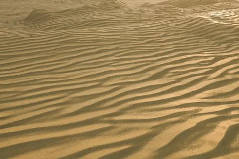 3d rendering, the wide desert, with stripes shapes. 스톡 일러스트