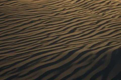 3d rendering, the wide desert, with stripes shapes. 库存插图