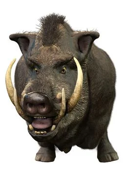 3D Rendering Wild Boar on White Stock Illustration