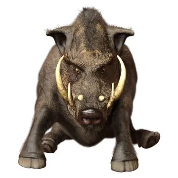 3D Rendering Wild Boar on White Illustration