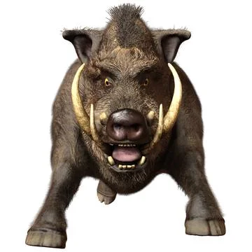 3D Rendering Wild Boar on White Illustration