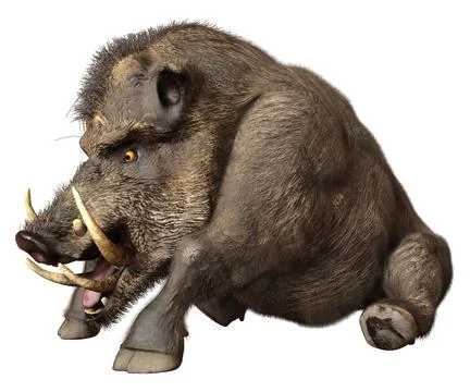 3D Rendering Wild Boar on White Illustration