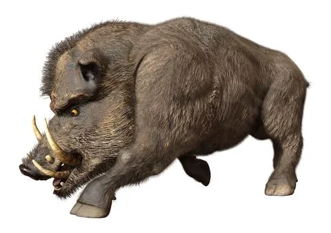 3D Rendering Wild Boar on White Illustration