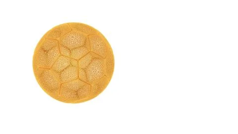 3d rendering of a wired object in yellow on white Stock Illustration