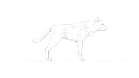 3d rendering of a wolf polygon isolated in white studio background Stock Illustration