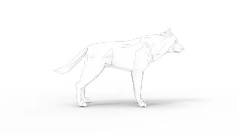 3d rendering of a wolf polygon isolated in white studio background Stock Illustration