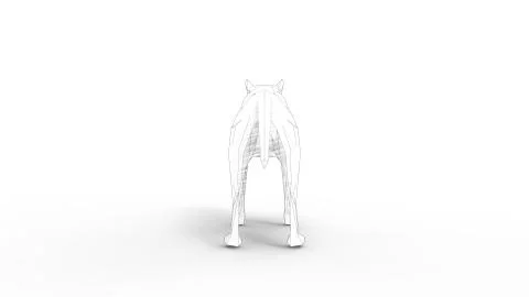 3d rendering of a wolf polygon isolated in white studio background Stock Illustration
