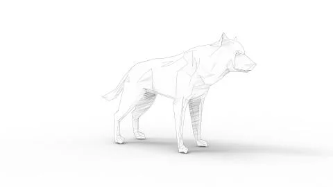 3d rendering of a wolf polygon isolated in white studio background Stock Illustration