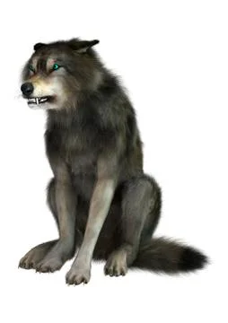 3D Rendering Wolf on White イラスト素材