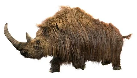 3D Rendering Wolly Rhino on White Stock Illustration