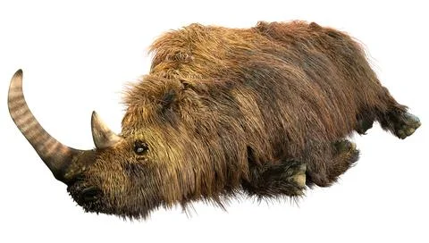3D Rendering Wolly Rhino on White Stockillustratie