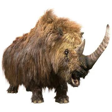 3D Rendering Wolly Rhino on White Stock Illustration