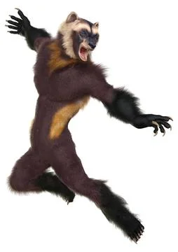 3D Rendering Wolverine Man on White Stock Illustration