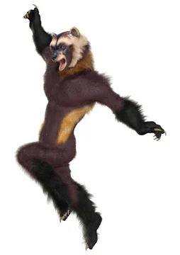 3D Rendering Wolverine Man on White Stock Illustration