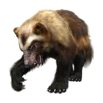3D Rendering Wolverine on White Stock Illustration