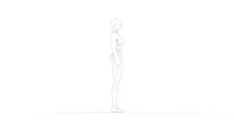 3D rendering of a woman computer model isolated in white background 스톡 일러스트