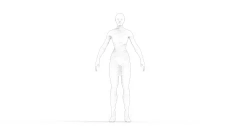 3D rendering of a woman computer model isolated in white background Stock Illustration