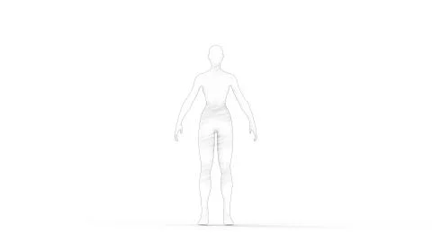 3D rendering of a woman computer model isolated in white background Stock Illustration