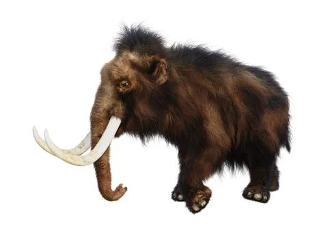 3D Rendering Woolly Mammoth on White Illustrazione stock