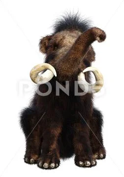 3D Rendering Woolly Mammoth on White ~ Clip Art #141247351