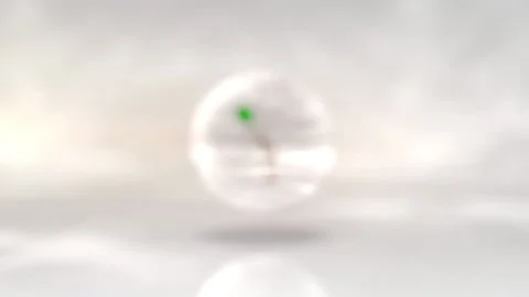 3D rendering for World Environment Day on June 5, 2020. Animation of a tree Stock Footage 130857343