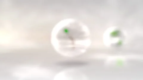 3D rendering for World Environment Day on June 5, 2020. Animation of a tree Stock Footage 130857388