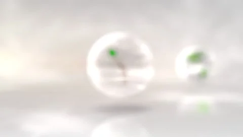 3D rendering for World Environment Day on June 5, 2020. Animation of a tree Stock Footage 130857423