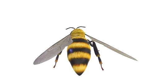 3D rendering of a yellow and black bee against a white background Stock Illustration