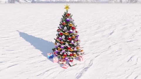 3d-rendring.Christmas tree with a star on top in a field covered with snow. Stock Footage 221632767