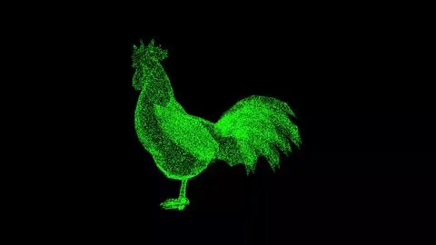 3D Rooster rotates on black background. Farming and Animals concept. Business 스톡 일러스트