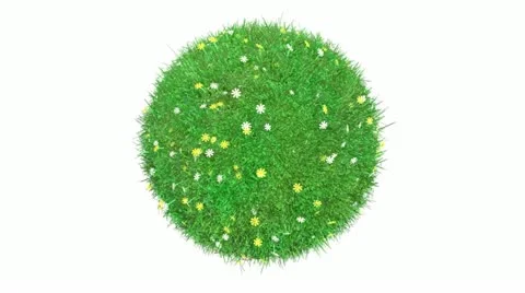 3D rotated grass ball Stock Footage 10894792