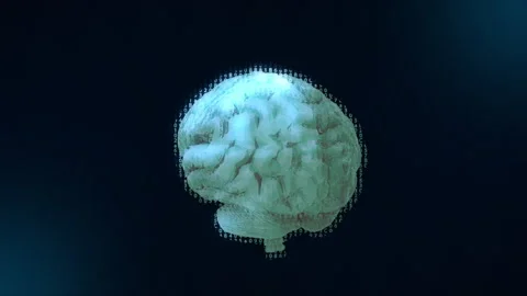 3D rotating brain model with binar cod. Motion graphic of digital brain. Stock Footage 286118090