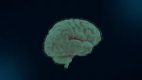 3D rotating brain model with binar cod. Motion graphic of digital brain. De.. Stock Illustration